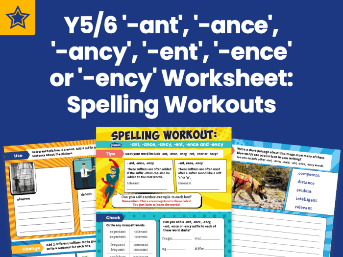 Words ant ance ancy ending sentence activity writing resource twinkl 1403 t2