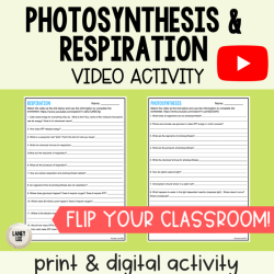 Photosynthesis review worksheet answer key